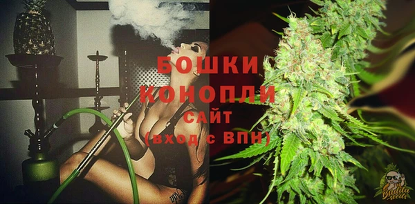 ГАЛЛЮЦИНОГЕННЫЕ ГРИБЫ Липки