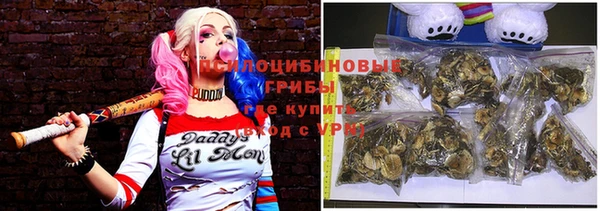 ГАЛЛЮЦИНОГЕННЫЕ ГРИБЫ Липки