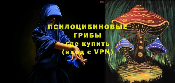ПСИЛОЦИБИНОВЫЕ ГРИБЫ Лиски