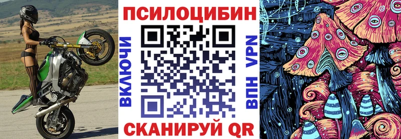 хочу   Новочеркасск  Псилоцибиновые грибы прущие грибы 