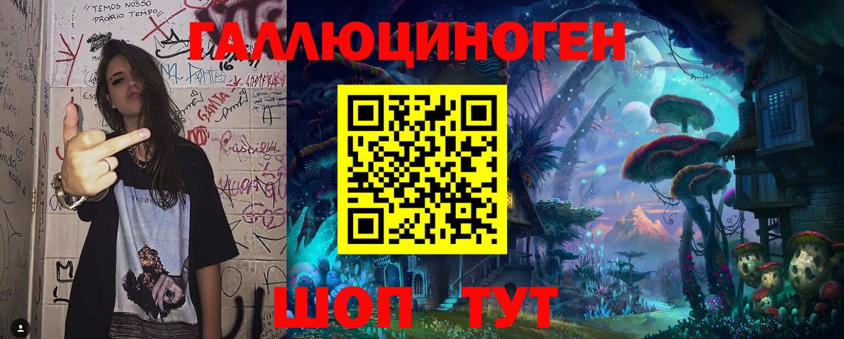 Новочеркасск  Псилоцибиновые грибы Psilocybine cubensis  Вход с VPN 